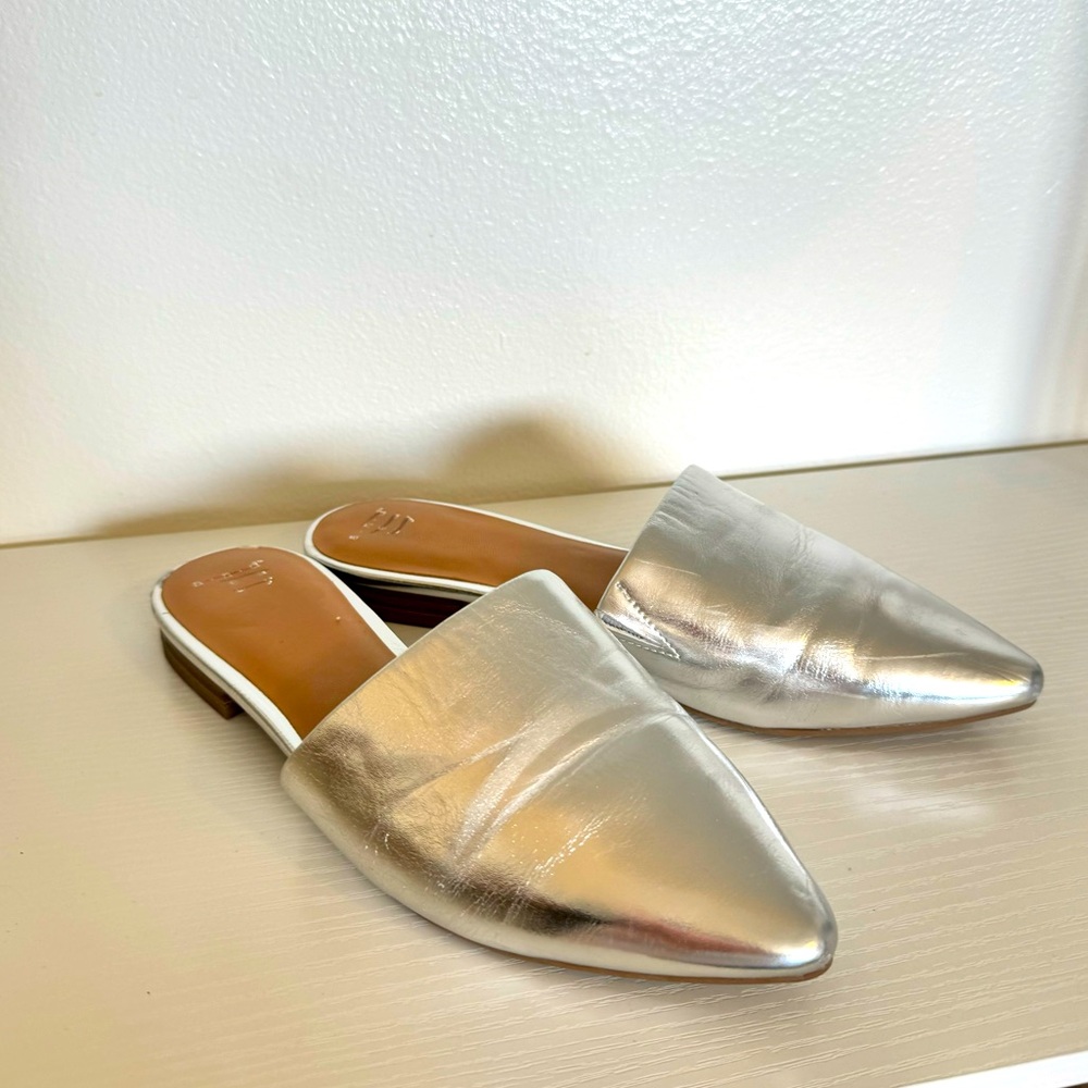 Silver Flat Mule